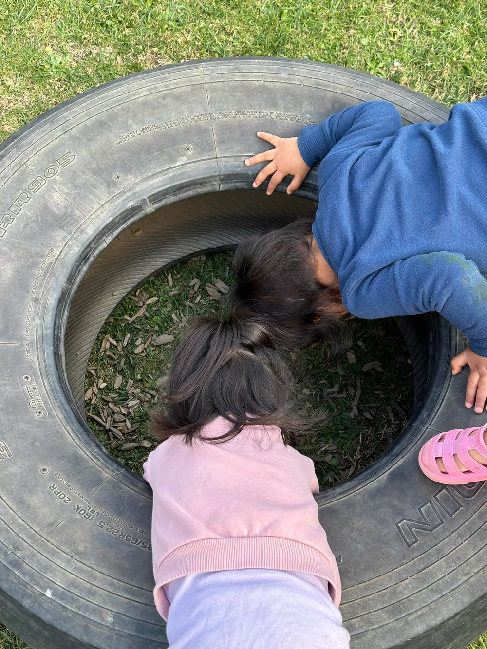 Kakerori tamariki investigating together inside a large outdoor tyre