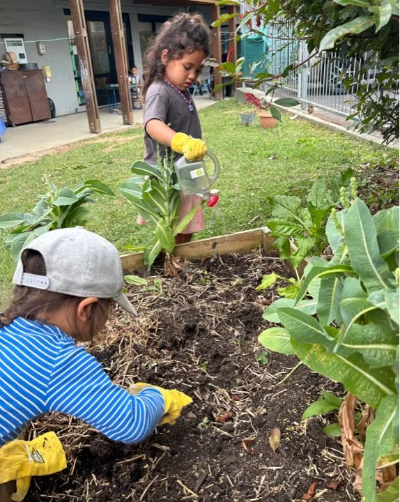 Kota’a tamariki tending and watering the centre garden